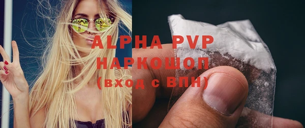 гидра Козловка