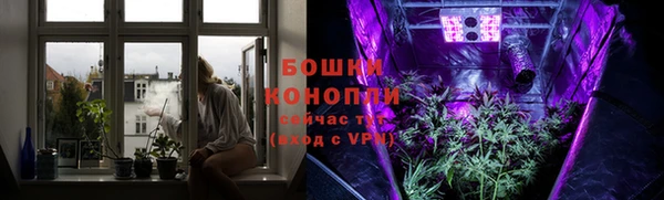 сатива Козельск