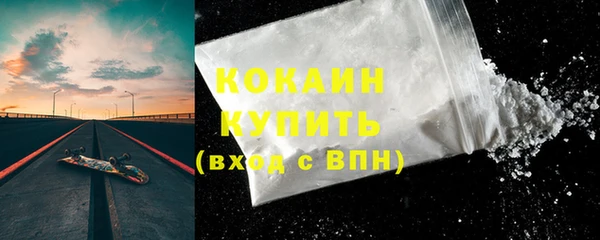 гидра Козловка