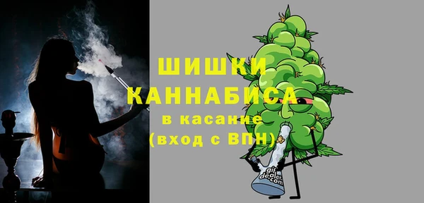 гидра Козловка