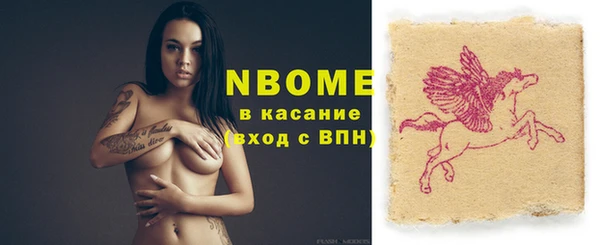 сатива Козельск