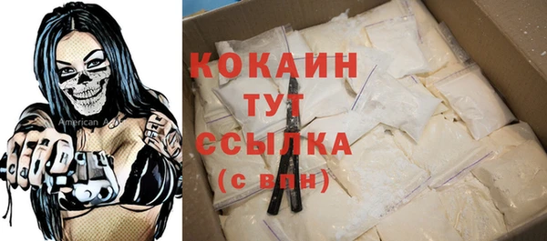 гидра Козловка