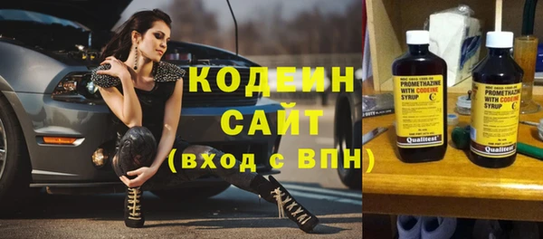 сатива Козельск