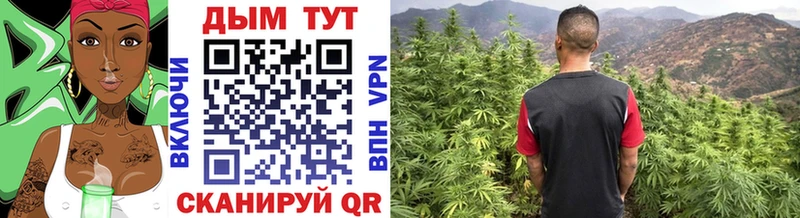 Марихуана SATIVA & INDICA  Купить  Вяземский 